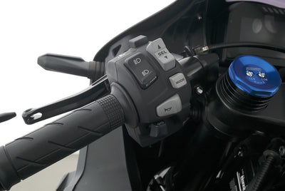 HONDA CBR 600 RR