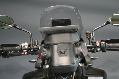 TRIUMPH TIGER 1200 RALLY PRO