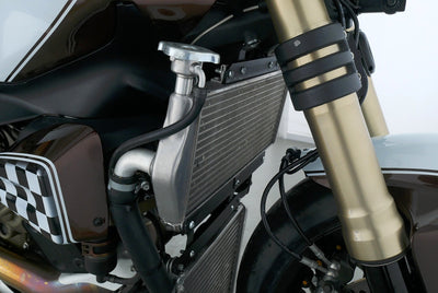 DUCATI 1199 PANIGALE LLC NAKED