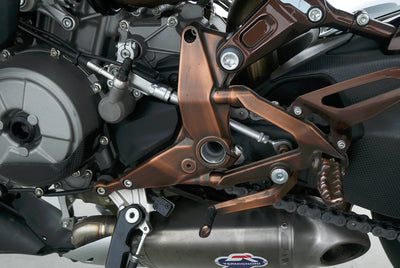 DUCATI 1199 PANIGALE LLC NAKED