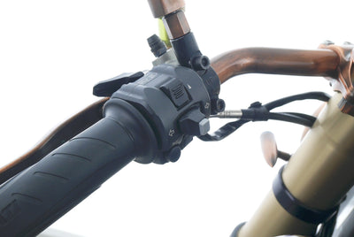 DUCATI 1199 PANIGALE LLC NAKED