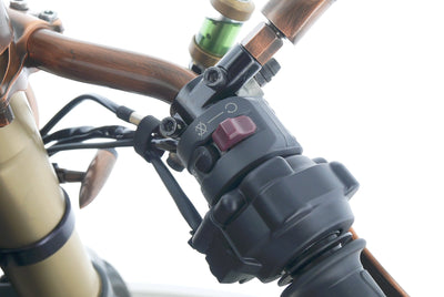 DUCATI 1199 PANIGALE LLC NAKED