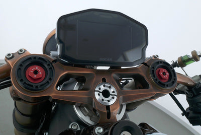 DUCATI 1199 PANIGALE LLC NAKED