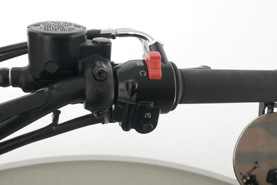 KAWASAKI W 800 BLACK EDITION