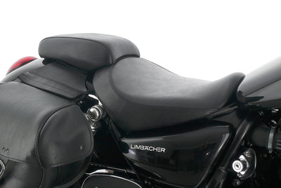 TRIUMPH THUNDERBIRD 1600