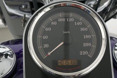 HARLEY DAVIDSON SOFTAIL DELUXE