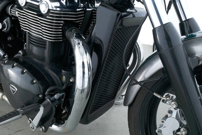 TRIUMPH THUNDERBIRD 1600