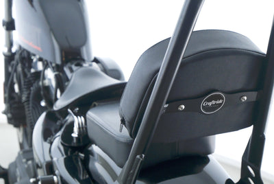 HARLEY DAVIDSON SPORTSTER XL 1200 48 FORTY