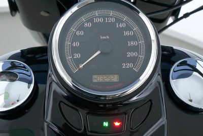 HARLEY DAVIDSON SOFTAIL SLIM