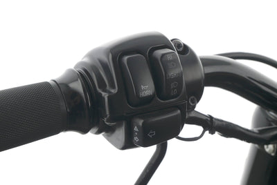 HARLEY DAVIDSON SPORTSTER XL 1200 48 FORTY