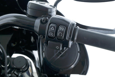 HARLEY DAVIDSON DYNA LOW RIDER S