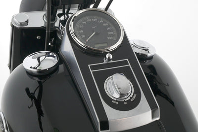 HARLEY DAVIDSON SOFTAIL FAT BOY LOW