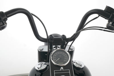 HARLEY DAVIDSON SOFTAIL FAT BOY LOW