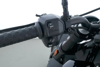 INDIAN FTR 1200