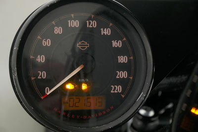 HARLEY DAVIDSON SPORTSTER XL 883 IRON