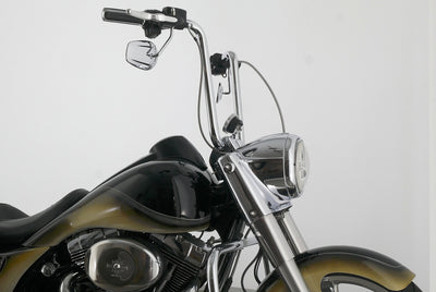 HARLEY DAVIDSON ROAD KING CLASSIC CHICANO