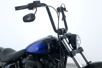 HARLEY DAVIDSON SOFTAIL BREAKOUT 114 LLC