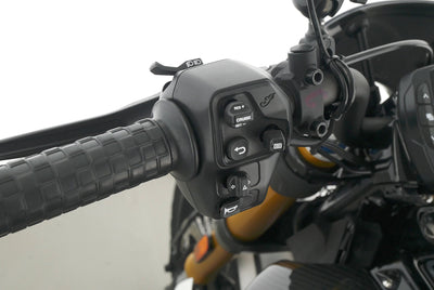 INDIAN FTR 1200 RALLY S