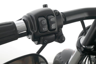 HARLEY DAVIDSON SPORTSTER XL 1200 48 FORTY