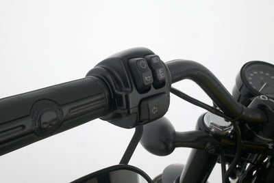 HARLEY DAVIDSON SPORTSTER XL 1200 48 FORTY