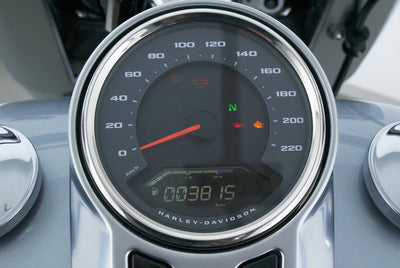 HARLEY DAVIDSON FAT BOY 114  LLC