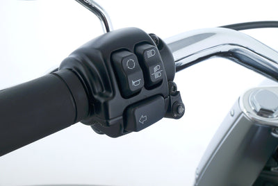 HARLEY DAVIDSON FAT BOY 114  LLC