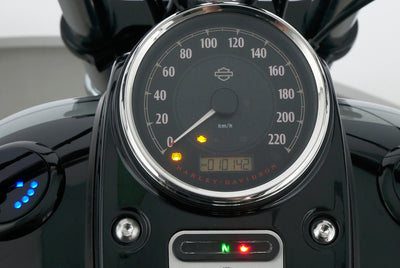 HARLEY DAVIDSON DYNA FAT BOB
