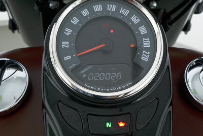 HARLEY DAVIDSON SOFTAIL HERITAGE CLASSIC 114