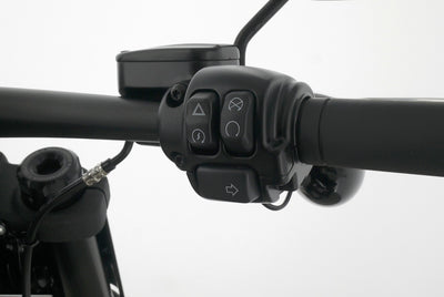 HARLEY DAVIDSON SOFTAIL FAT BOB 114