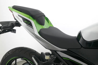 KAWASAKI NINJA E-1