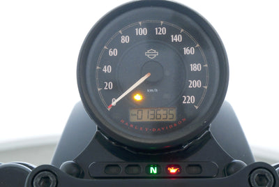 HARLEY DAVIDSON SPORTSTER XL 883 N IRON 1200cc