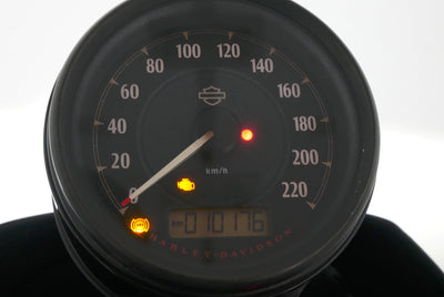 HARLEY DAVIDSON SPORTSTER XL 1200 NS IRON