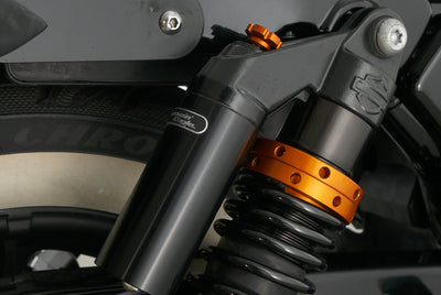 HARLEY DAVIDSON SPORTSTER XL 1200 NS IRON