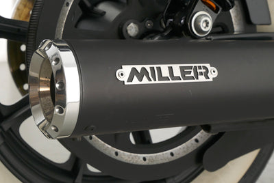 HARLEY DAVIDSON SPORTSTER XL 1200 NS IRON