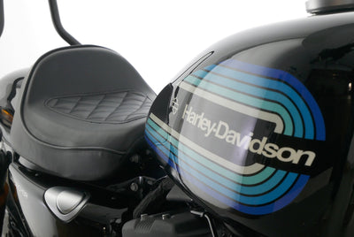 HARLEY DAVIDSON SPORTSTER XL 1200 NS IRON