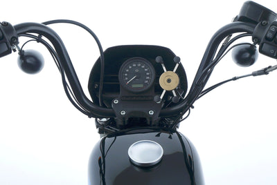 HARLEY DAVIDSON SPORTSTER XL 1200 NS IRON