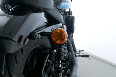 HARLEY DAVIDSON SPORTSTER XL 1200 NS IRON