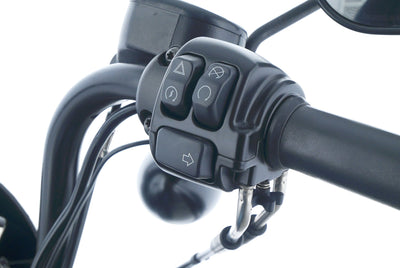 HARLEY DAVIDSON SPORTSTER XL 1200 NS IRON