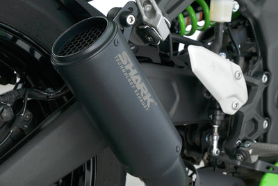 KAWASAKI ZX 4 RR