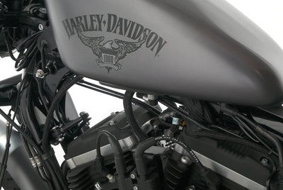 HARLEY DAVIDSON SPORTSTER XL 883 N IRON