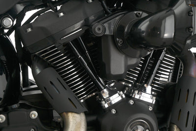 HARLEY DAVIDSON SOFTAIL LOW RIDER ST