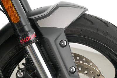 TRIUMPH TRIDENT 660