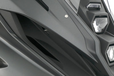 SUZUKI GSX 8 R 35 KW