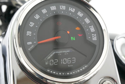 HARLEY DAVIDSON SOFTAIL LOW RIDER