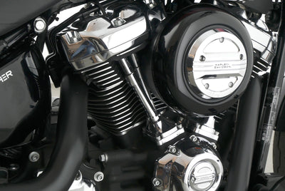 HARLEY DAVIDSON SOFTAIL LOW RIDER