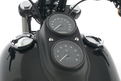 HARLEY DAVIDSON DYNA LOW RIDER S