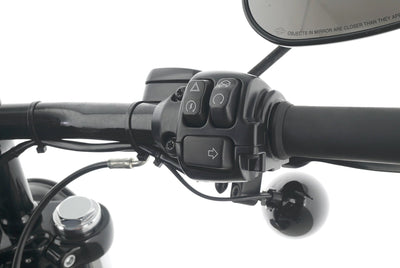 HARLEY DAVIDSON DYNA LOW RIDER S