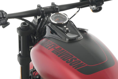 HARLEY DAVIDSON SOFTAIL FAT BOB 114