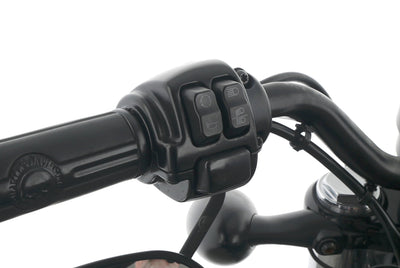 HARLEY DAVIDSON SPORTSTER XL 1200 48 FORTY