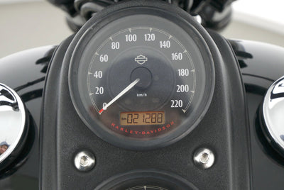 HARLEY DAVIDSON DYNA LOW RIDER S